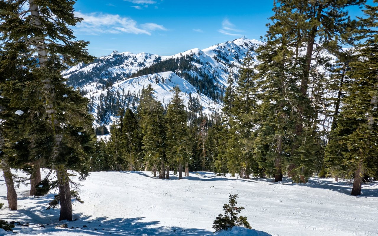 Olympic Valley & Alpine Meadows