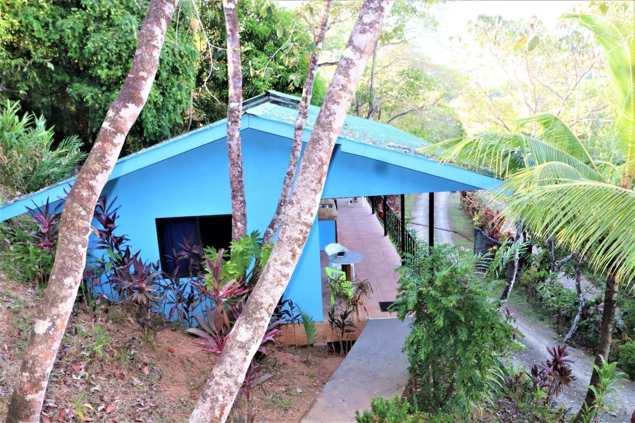 Iconic Eco-lodge With Outstanding Ocean, Sunset, and Mountain Views