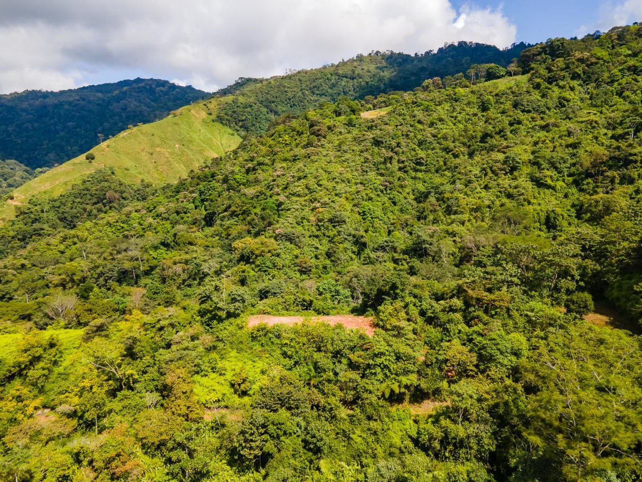138 Acres of Ocean View Land Overlooking the Southern Zone