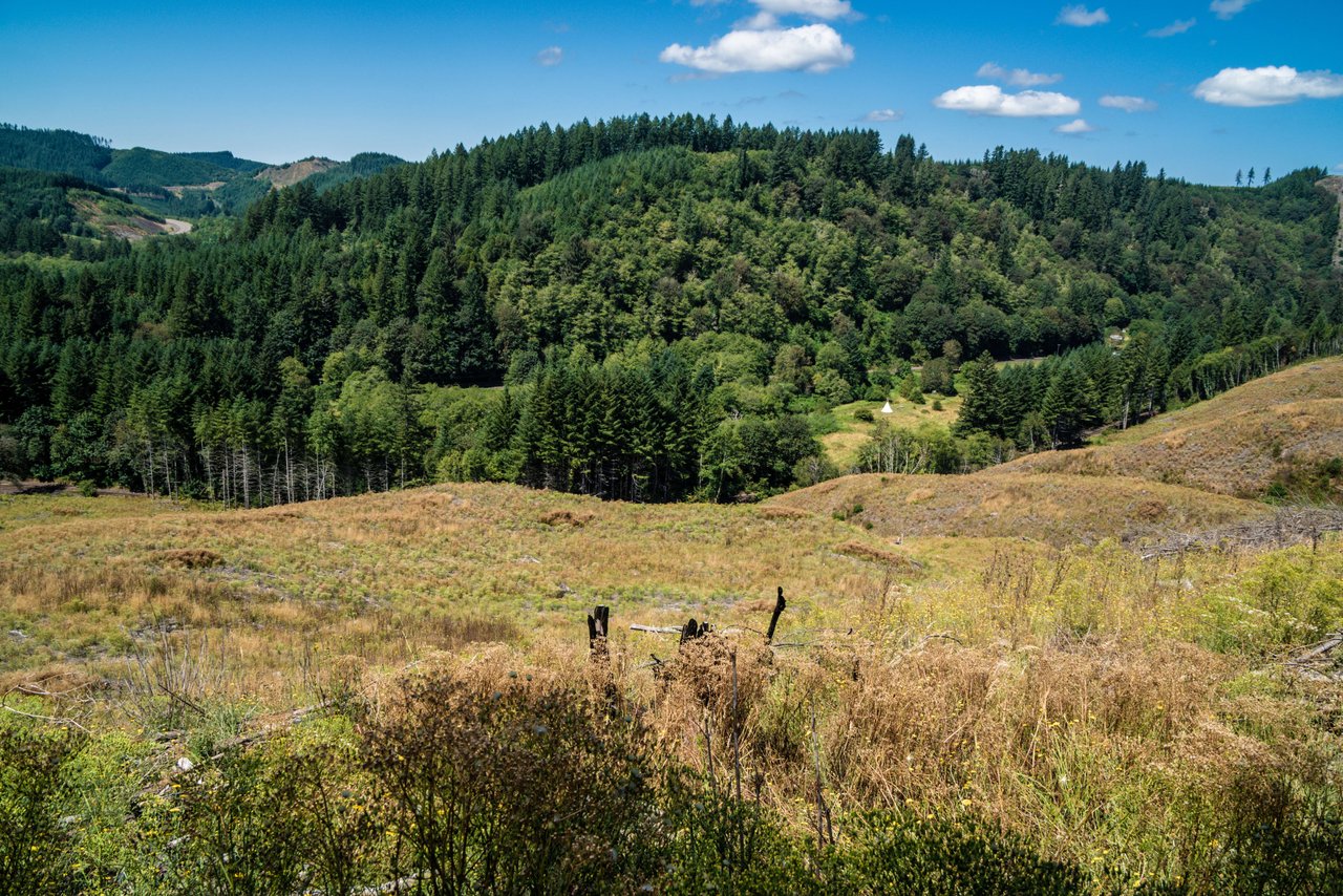 Eddyville/Sam's Creek Sealed Bid Offering (No Published Reserve) 