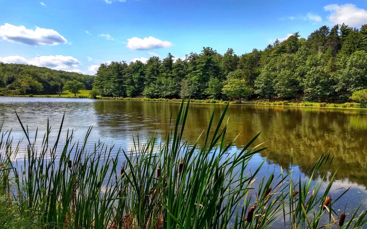 Spring Lake