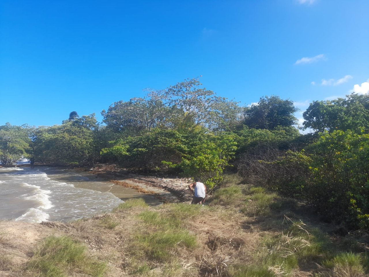 Charming 1.6 acre Caribbean Beachfront peninsular in Dangriga Town, Belize