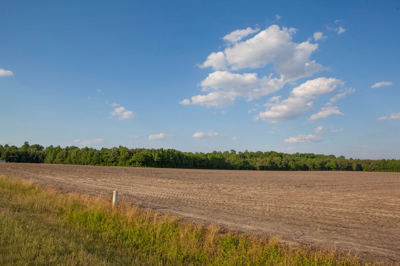 Edgecombe County, NC Land For Sale - 354 Acres