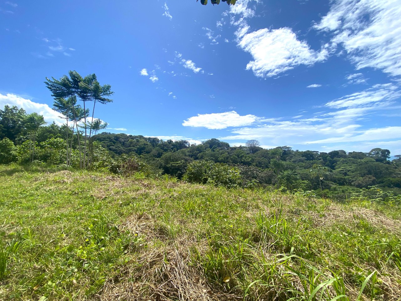 3.41 Acres, Ocean View Property In Finca Maranon With Legal Water! Ojochal 