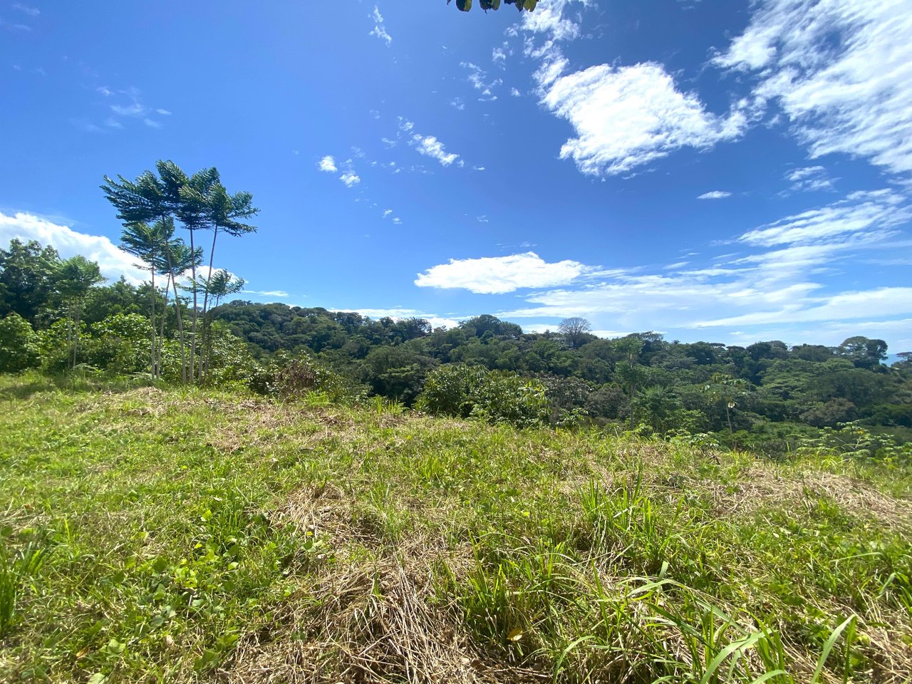 3.98 Acres, Ocean View Property In Finca Maranon With Legal Water! Ojochal 