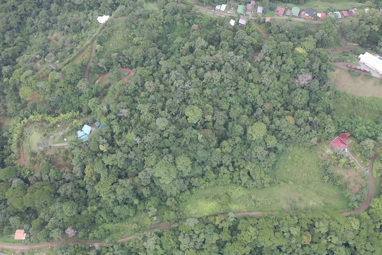 7.6 Acres Calle Camaron Platanillo
