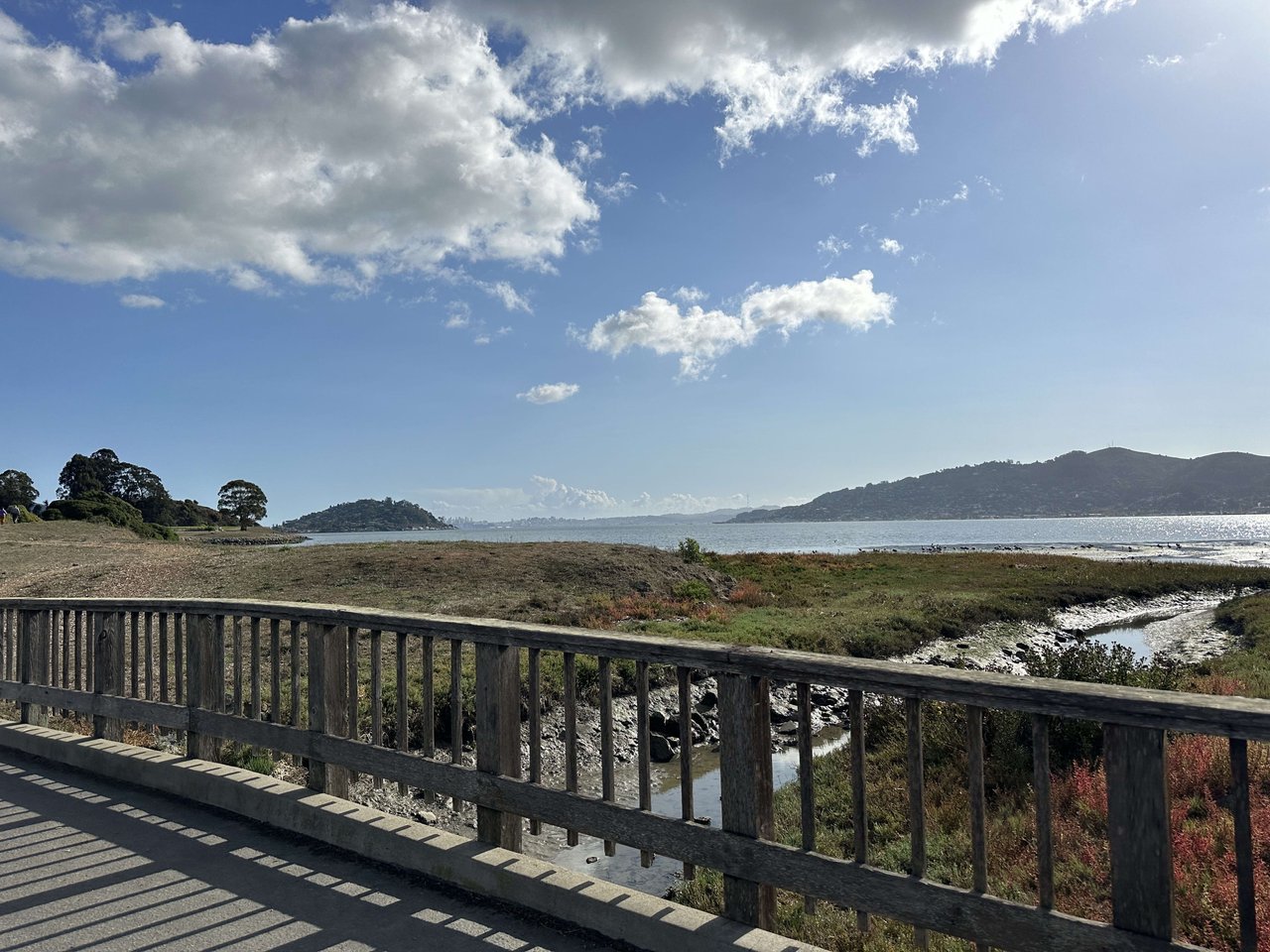 Blackies Pasture: Marin County's Scenic Trail with a View