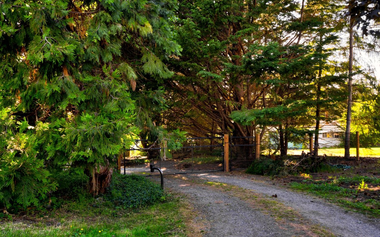 Top Gun Filming in Anacortes and Whidbey Island