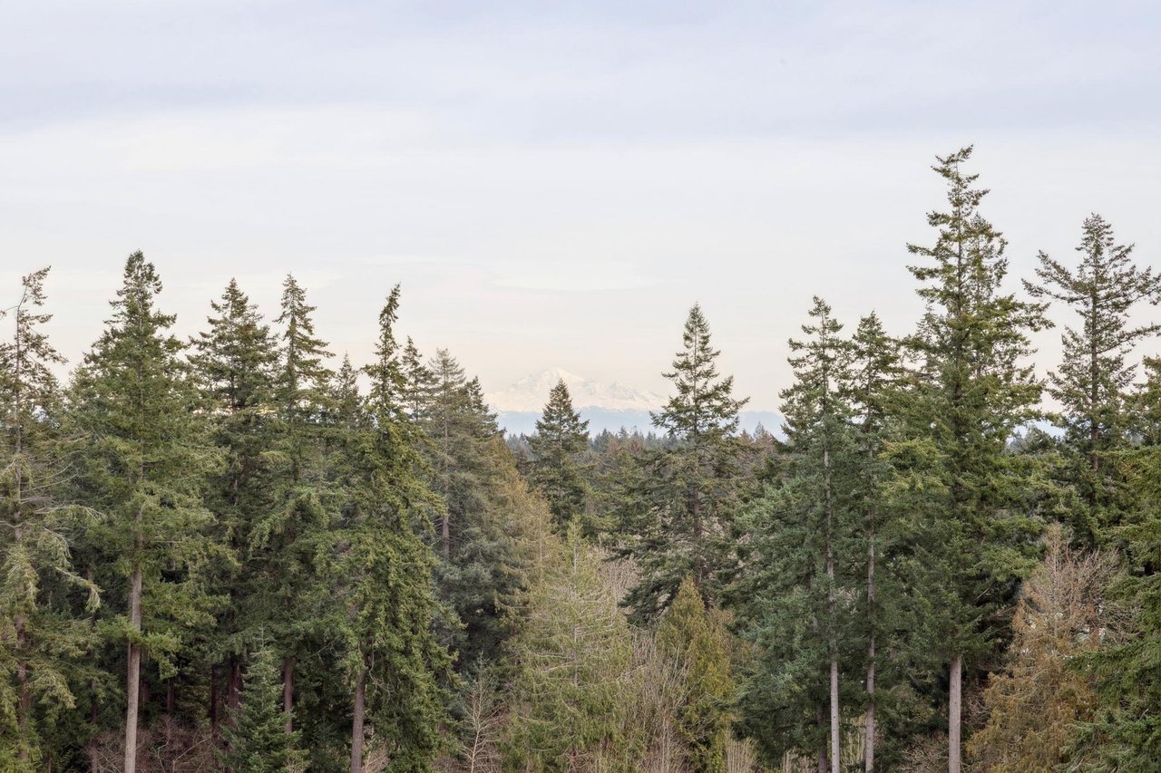 1206-3533 Ross Drive, Vancouver