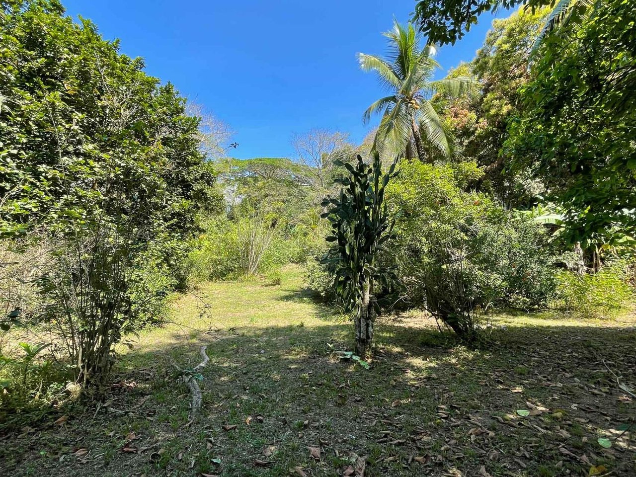 Pacific Frontage Rainforest Estate, Osa, Puntarenas