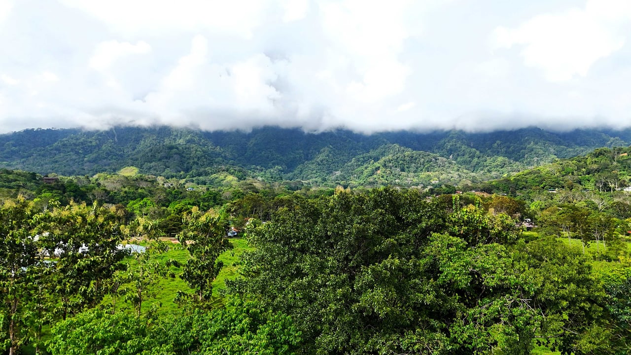 Over 3 Acres, Mountain View Lot in the Heart of Ojochal, Ready for Development!.