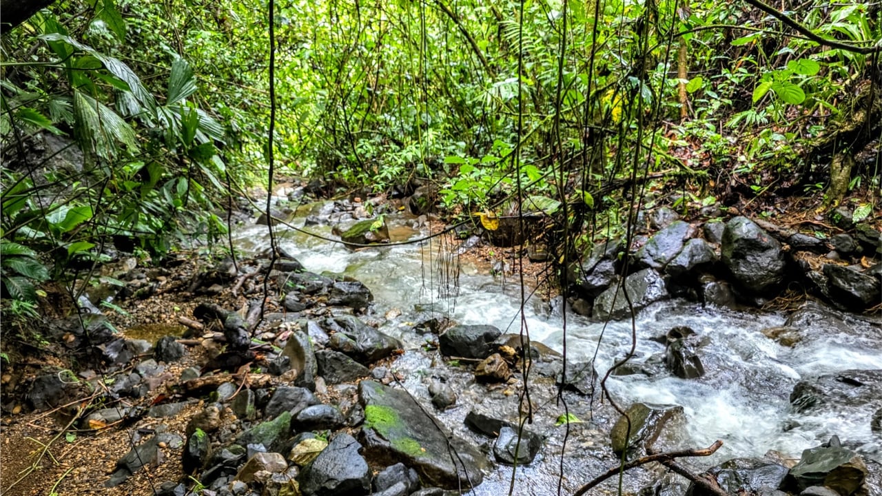 Rainforest Waterfall Acreage Estate, Dominical, Puntarenas