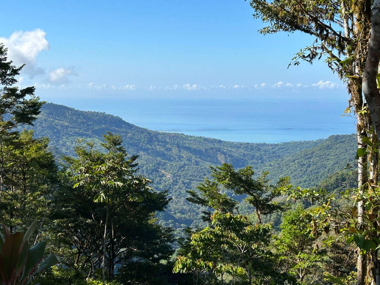 Whale Tail, Ocean & Mountain View lot in San Luis.