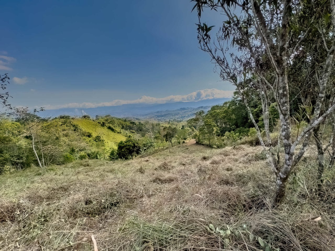 Valley View Lot in Quebradas, Pérez Zeledón.