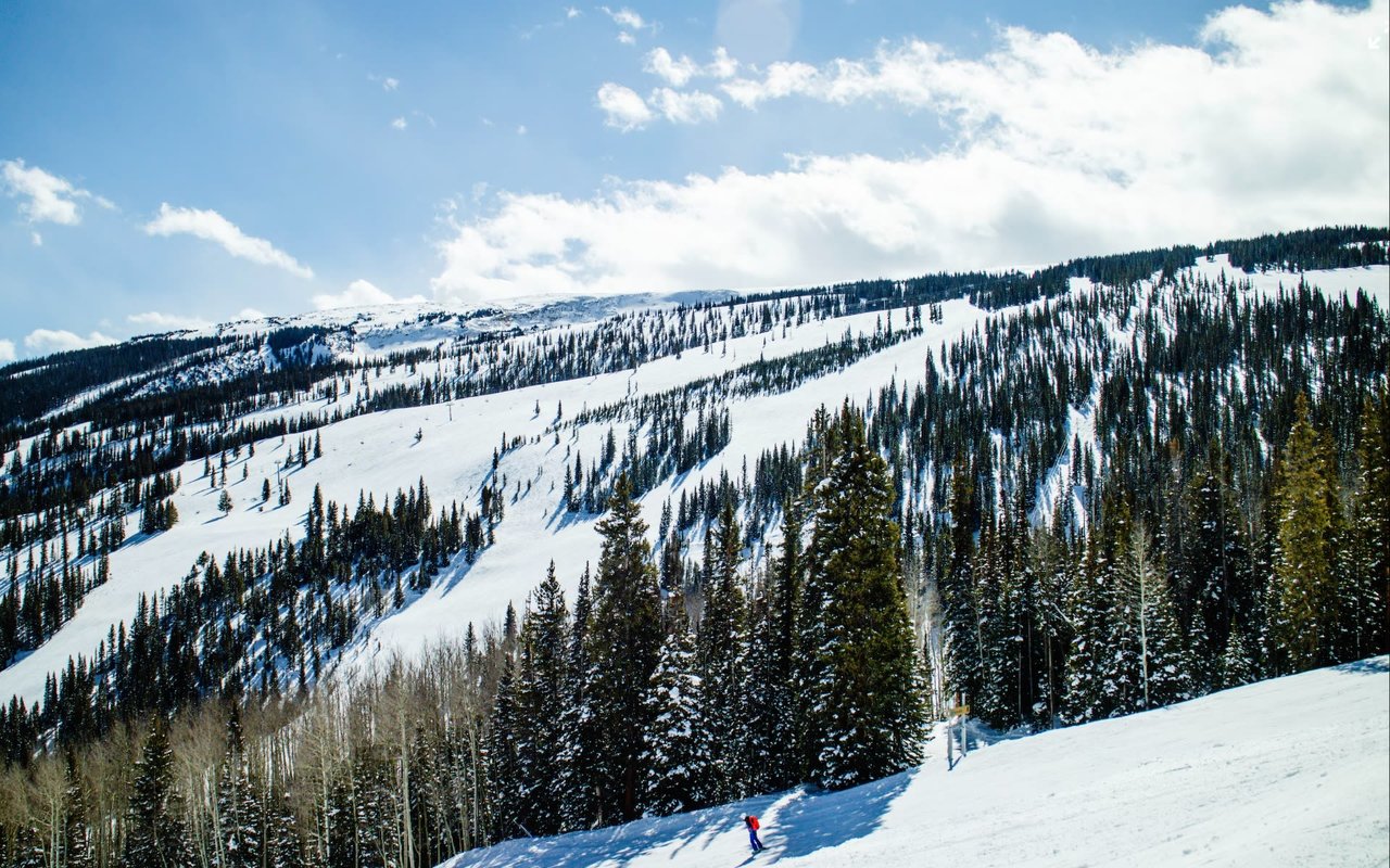 Aspen Homebuying Guide