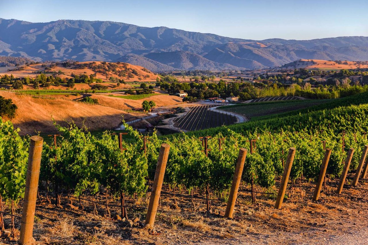 9 Santa Barbara Wineries That Are Worth the Drive From LA