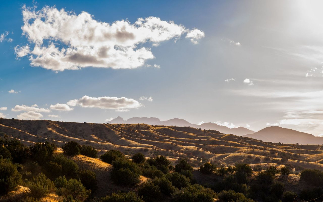 Sonoita