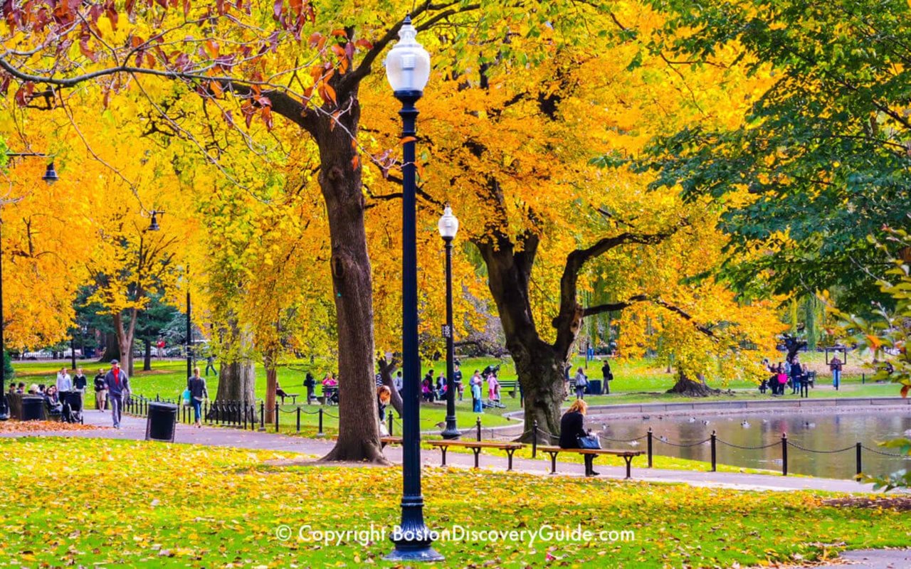 BOSTON FALL FOLIAGE