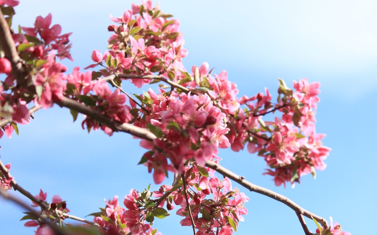 Is Summer Truly Denver’s Hottest Housing Season?