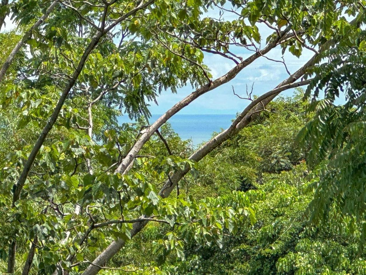 Secure Gated Villa Community, Ojochal, Puntarenas