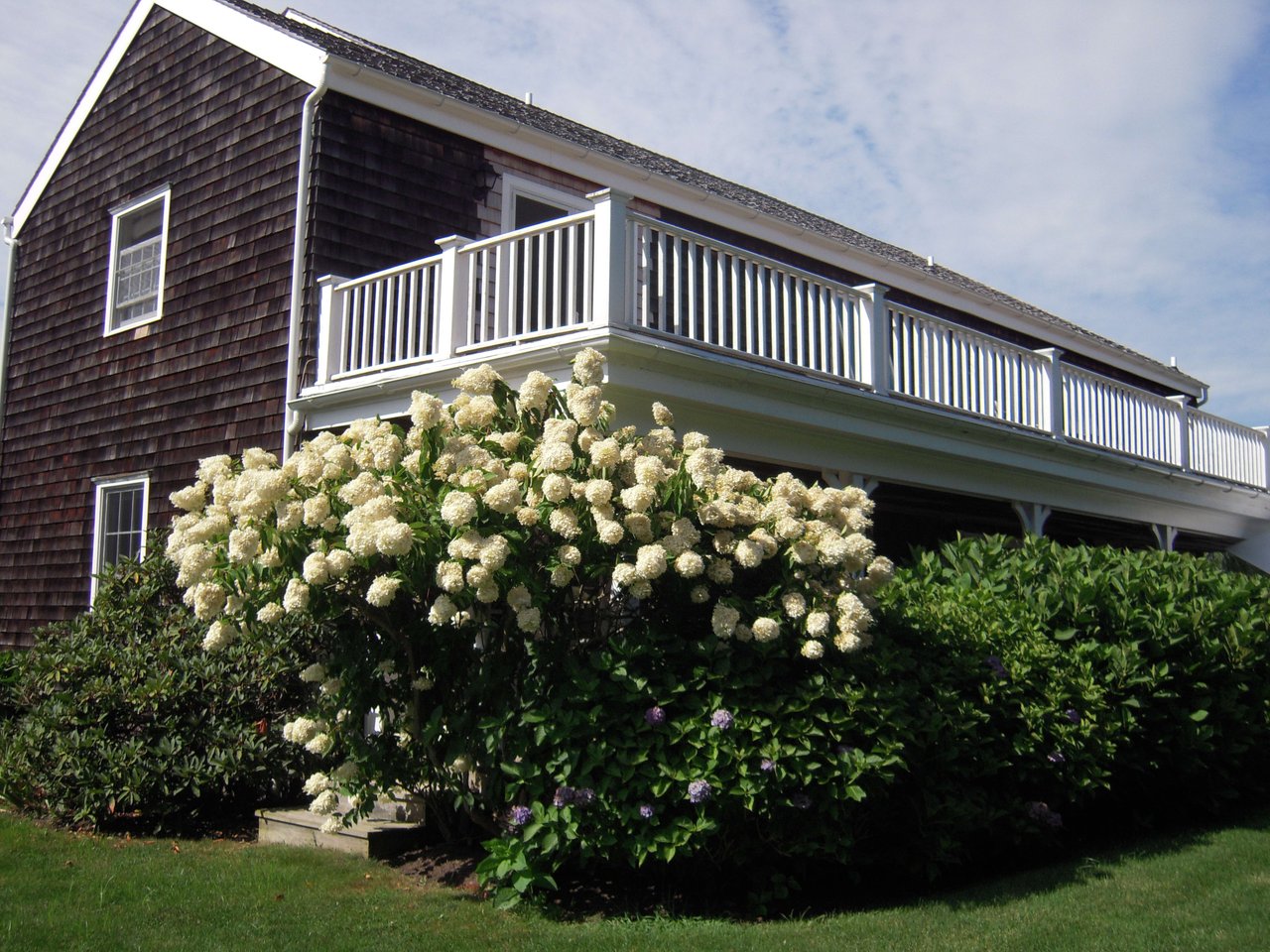 Sprawling Sagaponack South Traditional