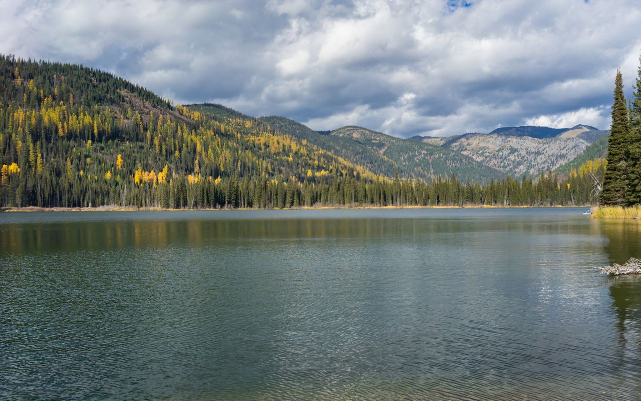 Discover Whitefish, MT: The Ultimate Guide to Moving to a Montana Mountain Town