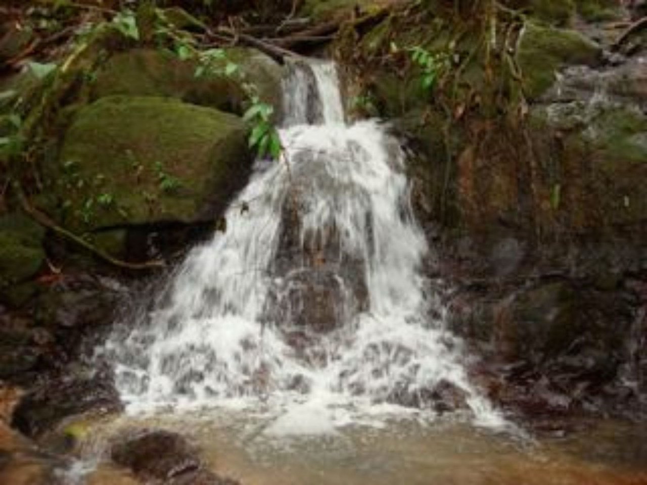 Ocean View Waterfall Land, Dominical, Puntarenas