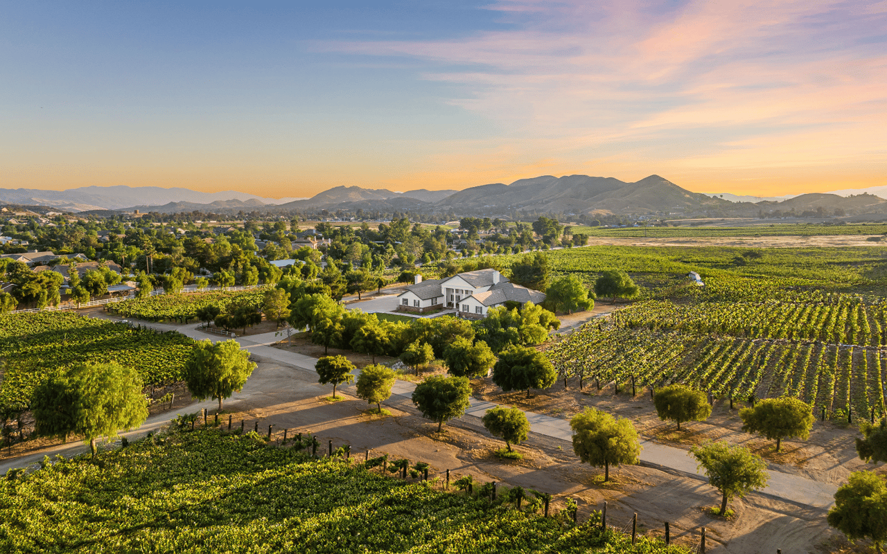 Colonial 5-bedroom home amidst the vines at this Los Angeles vineyard property for sale.