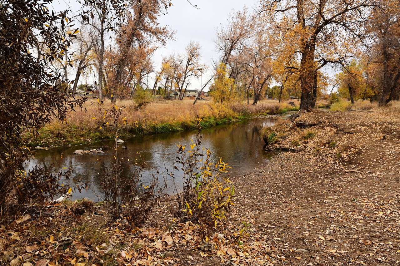 Wheat Ridge