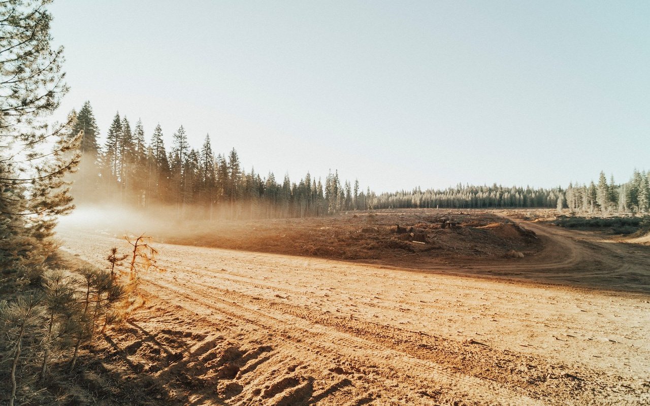 Chester | Lake Almanor