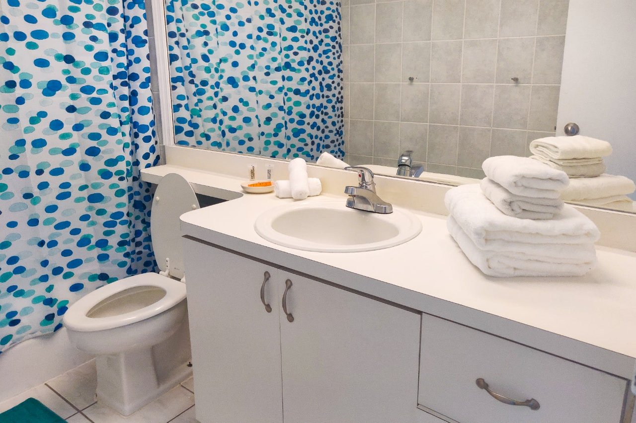 5445 Collins Ave Unit 834 Miami Beach : 