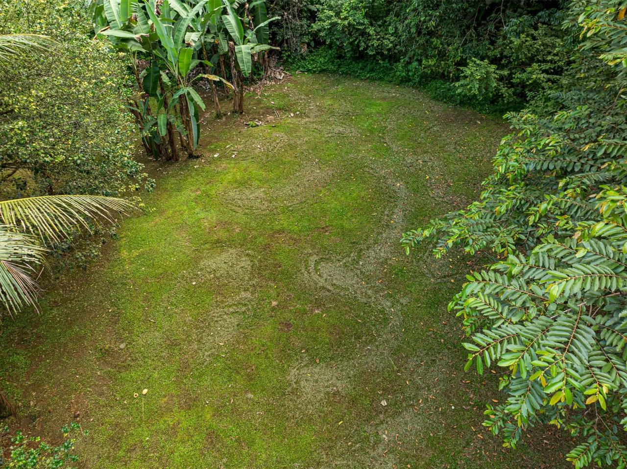 Private Riverfront Jungle Oasis, Ojochal, Puntarenas