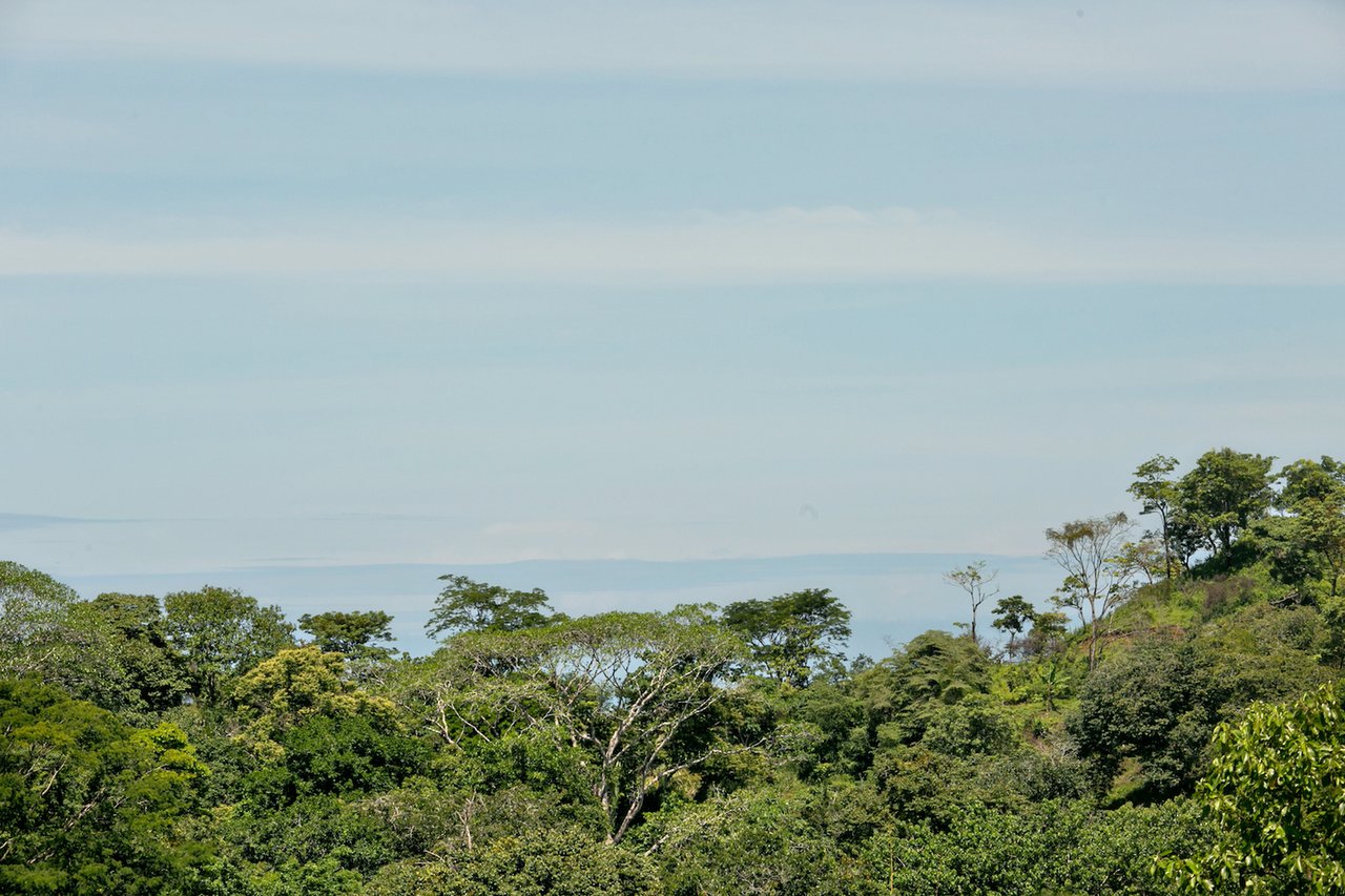 Valley View Home with Pool, Manuel Antonio, Puntarenas
