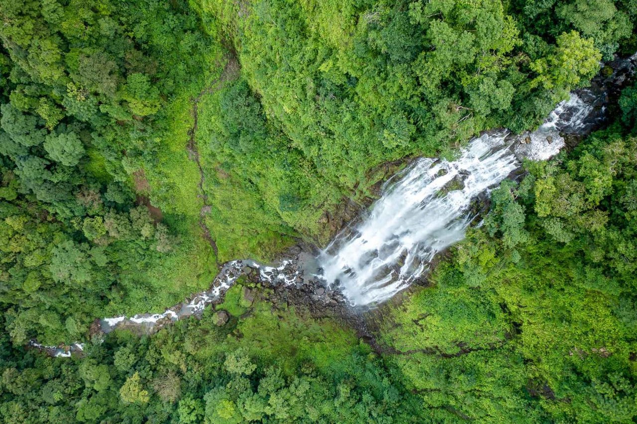 Diamante Waterfall Farm