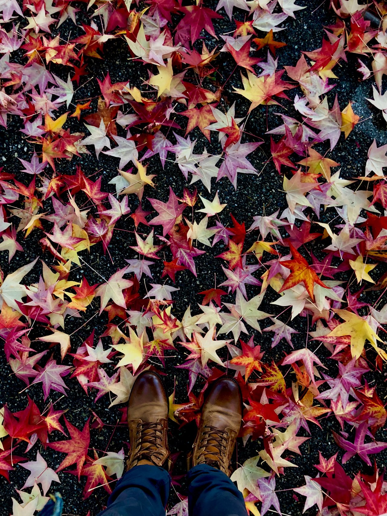 Writer's Block Ideas - November