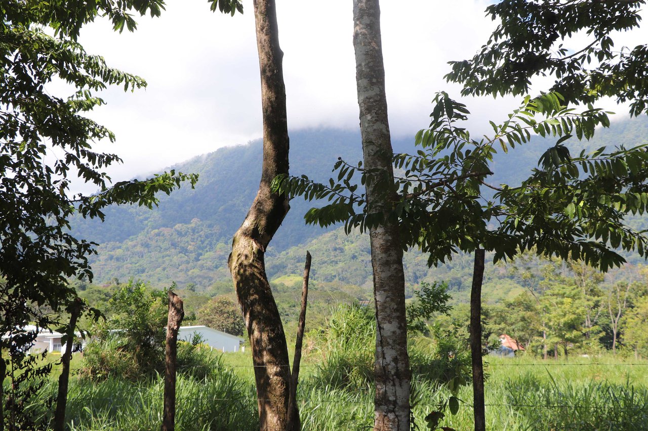 Over 3 Acres, Mountain View Lot in the Heart of Ojochal, Ready for Development!.