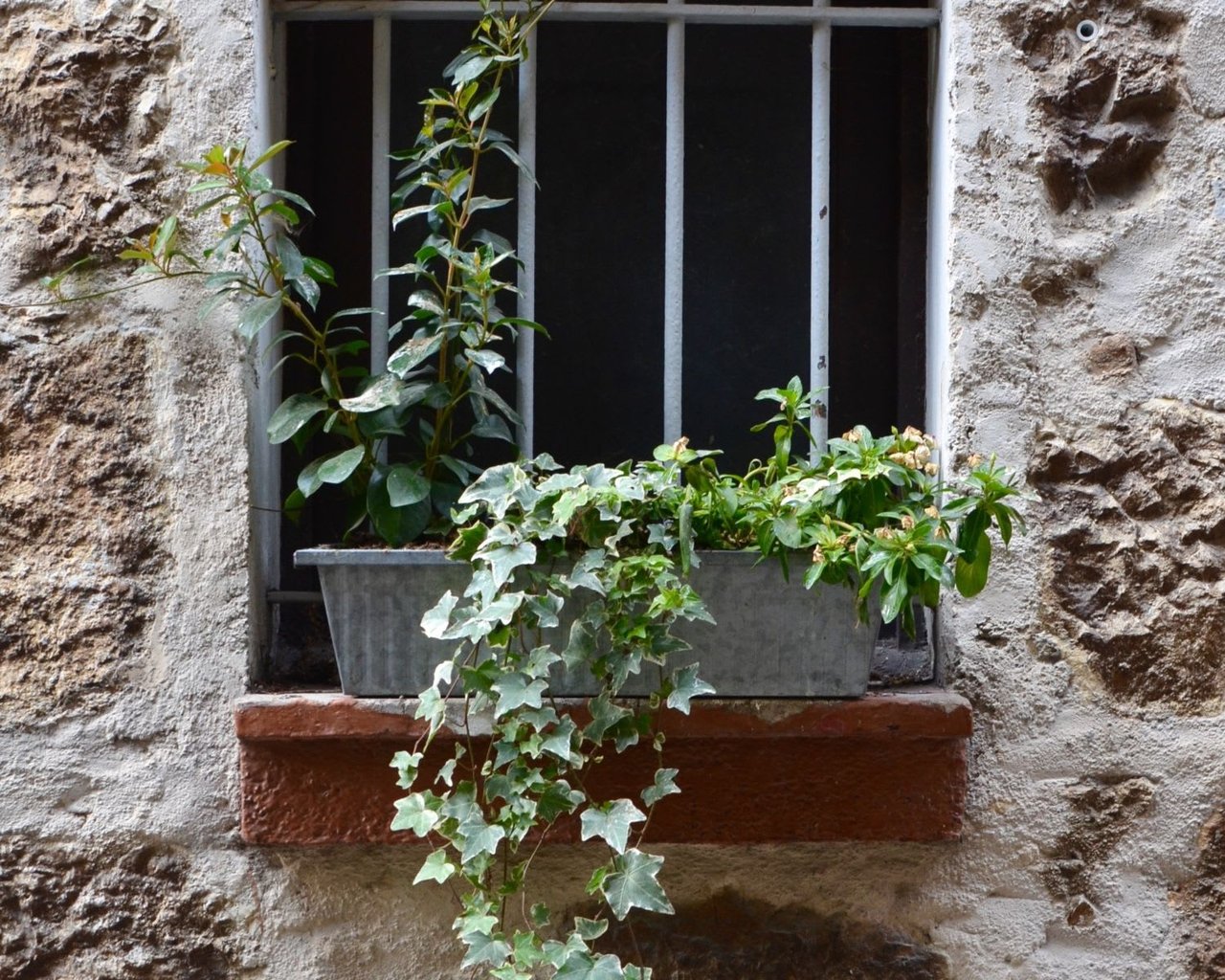 Street Sweeping Starts April 2nd