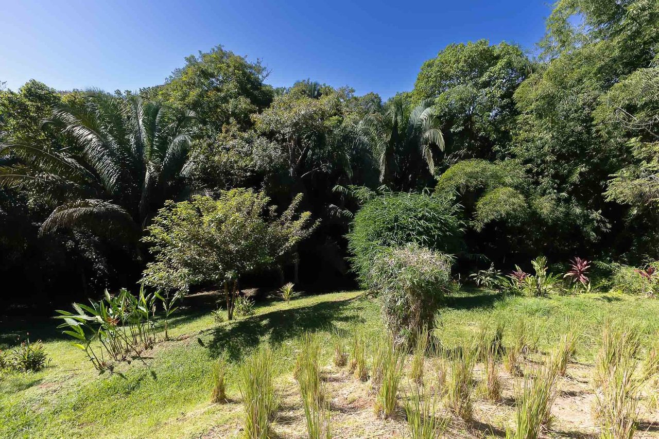 Multi Residence Gated Estate, Manuel Antonio, Puntarenas