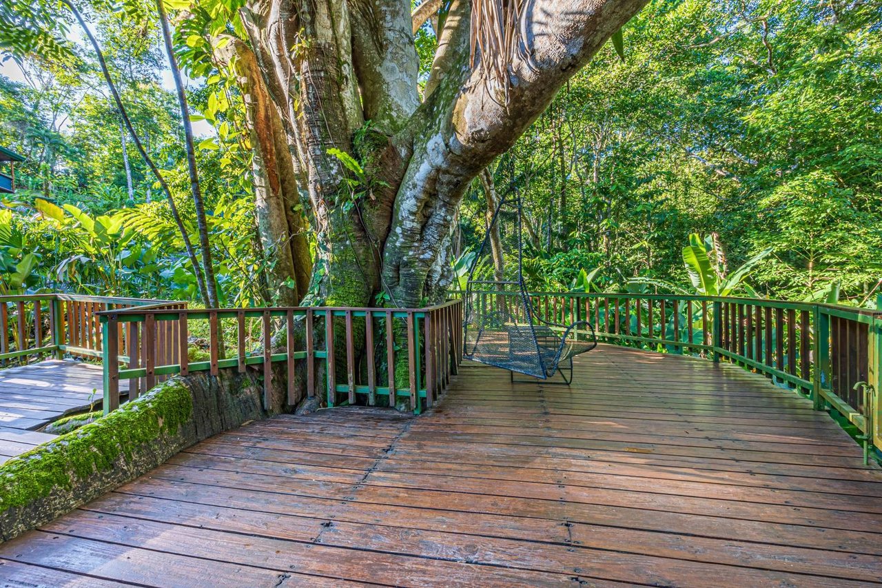 Uvita, Jungle Retreat Center on the Uvita River. Private and 17 Acres