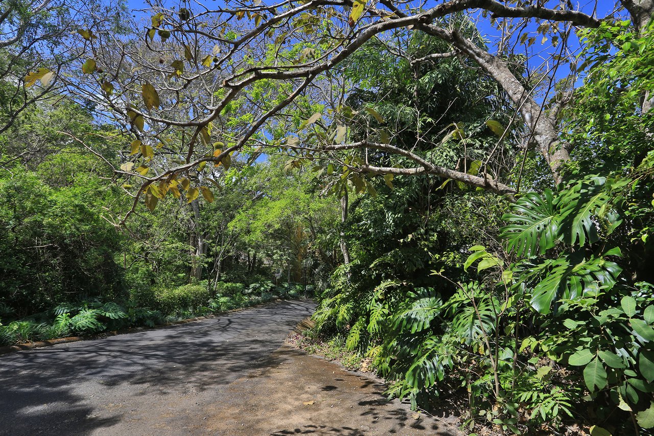 Panoramic View Terrace Residence, Ciudad Colon, San Jose