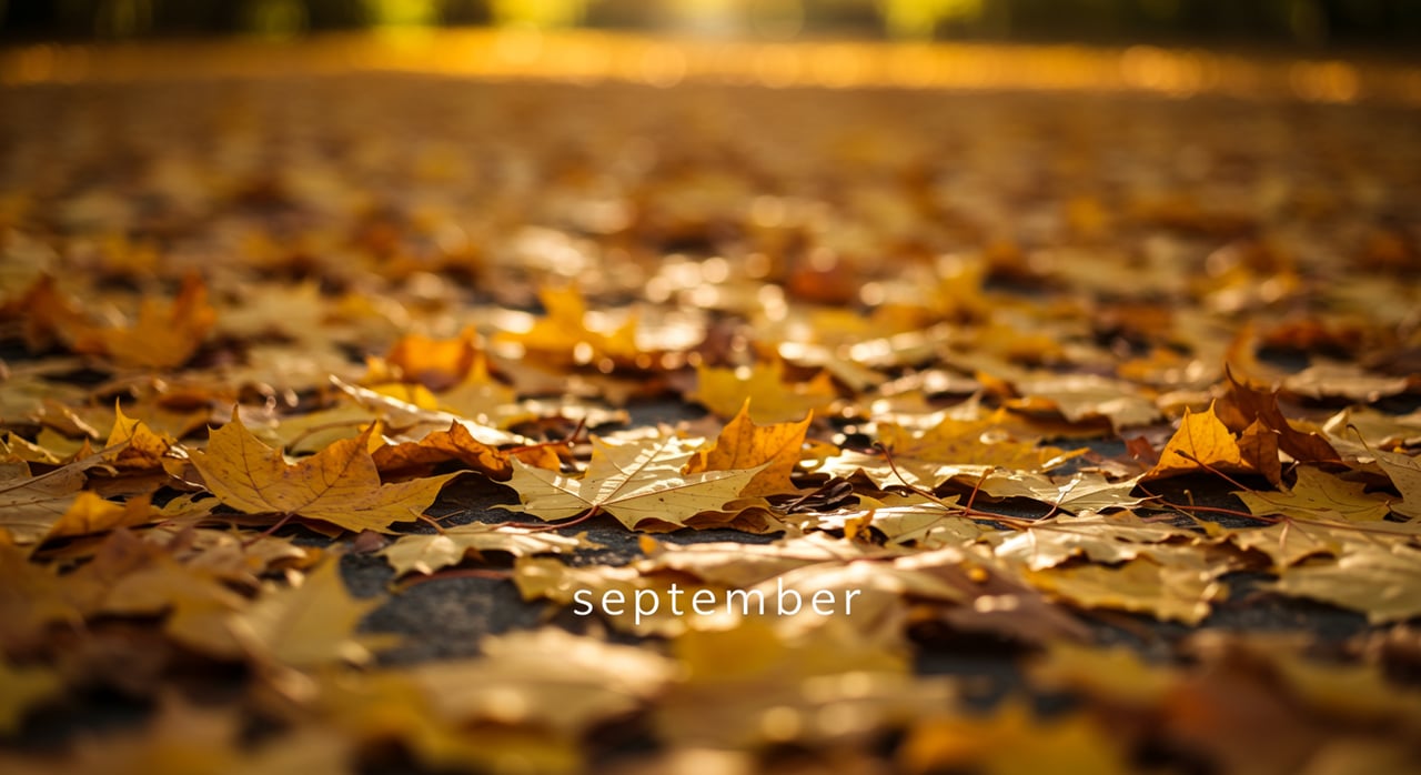 September 2022 Real Estate Market Update