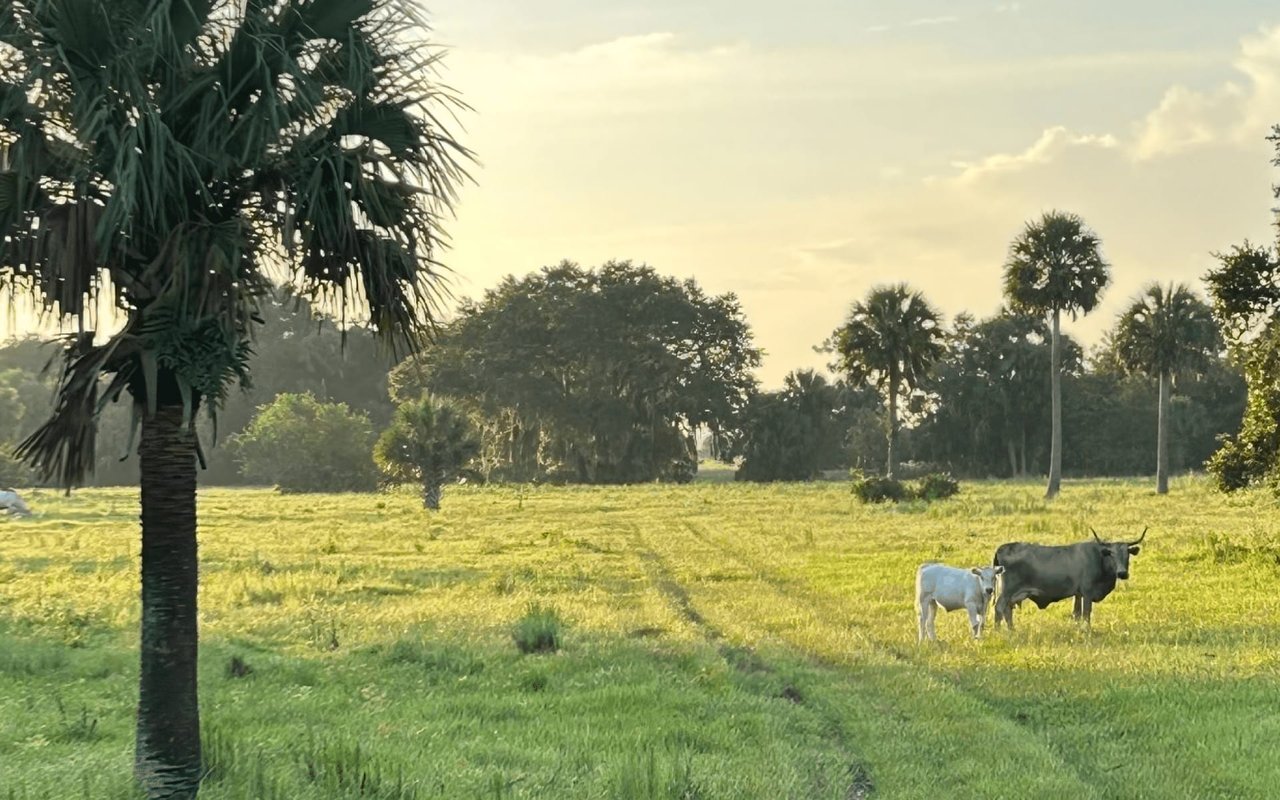 Ranches 
