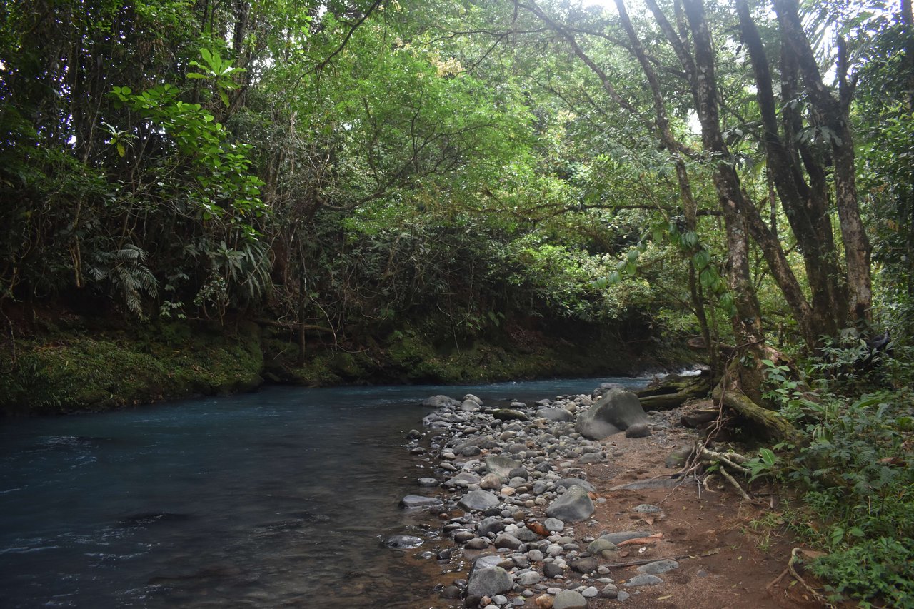 Villa Celeste Land | Embrace a unique 9-hectare Property along Rio Celeste