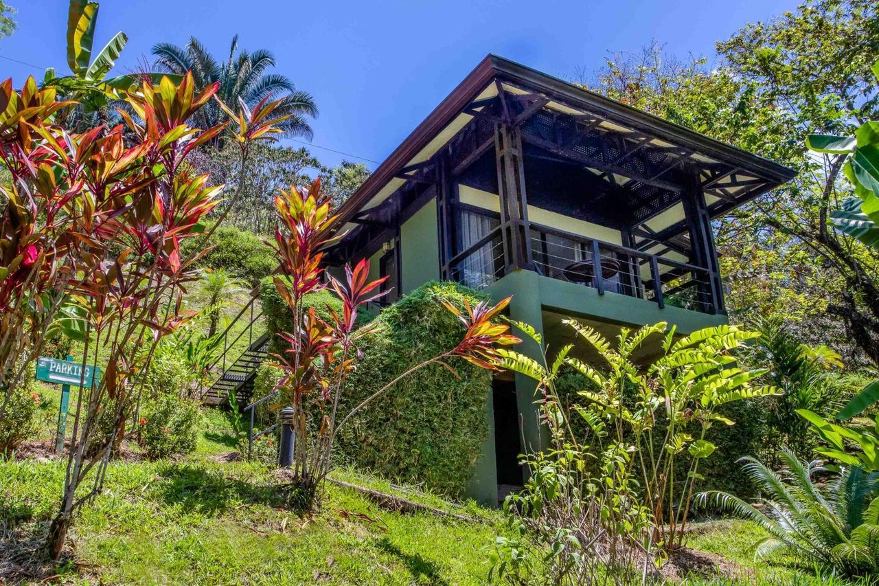 Profitable Boutique Hotel With Room for Expansion Tiki Villas Rainforest Lodge and Spa