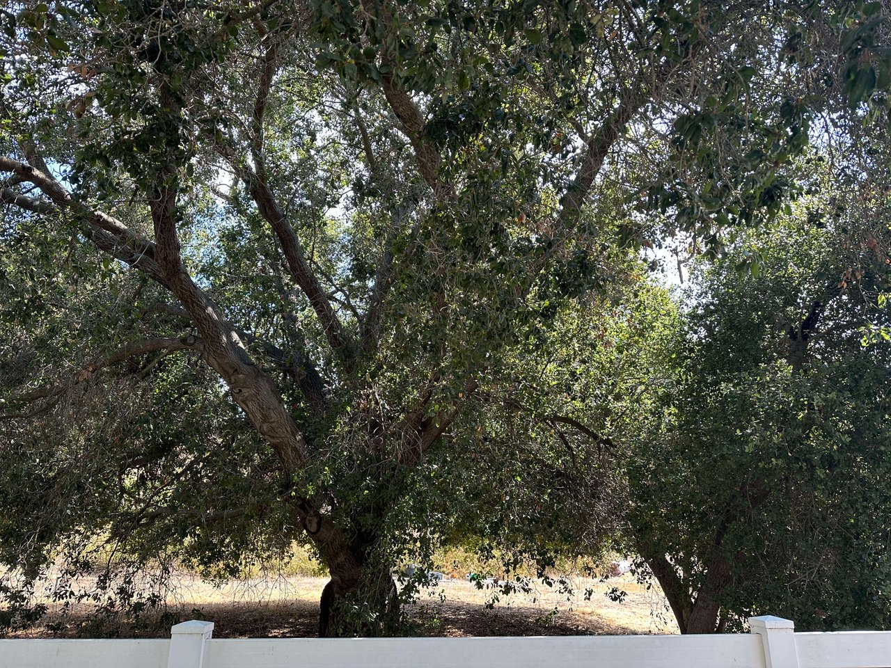 Craftsman ranch