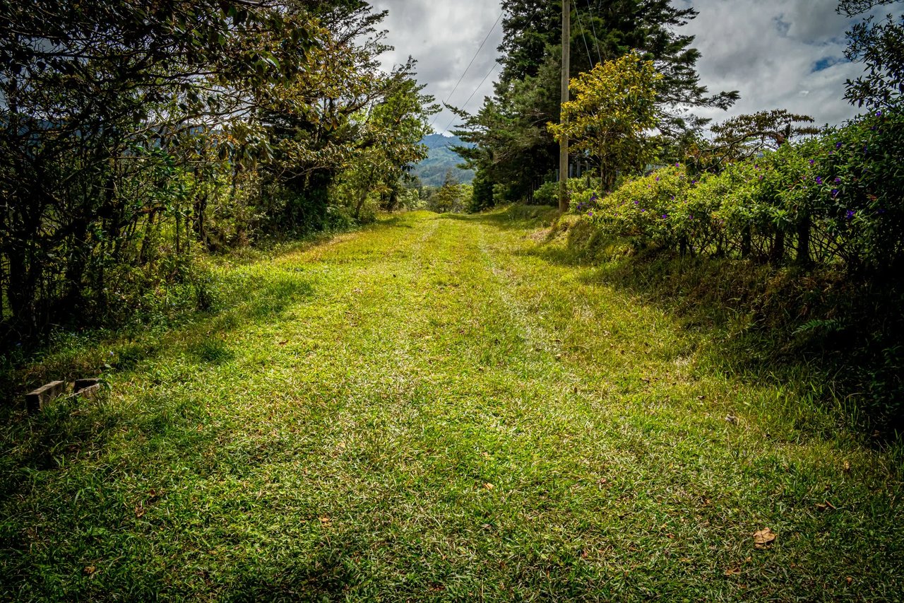 Sustainable Mountain Cabin, Cartago