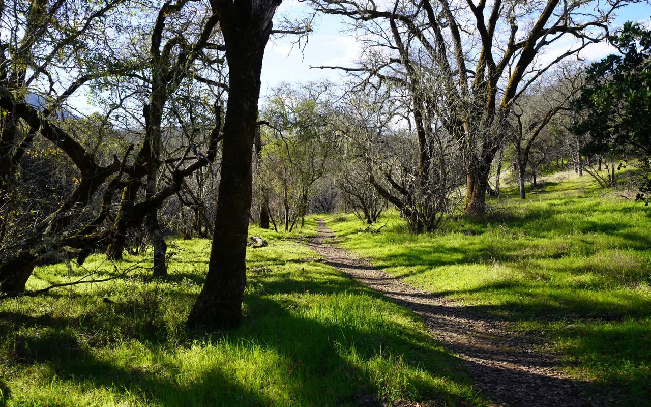 A Guide to Napa Parks