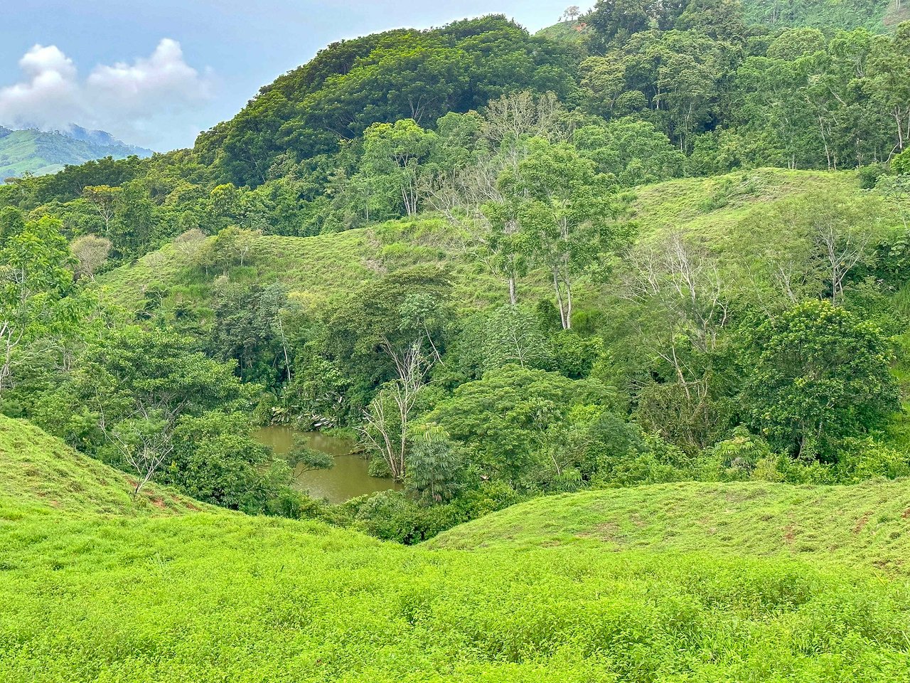 Breathtaking 210 Foot Waterfall on Over 200 Acres of Land in the Lush Hills & Mountains of Perez Zeledon – with SO MANY Additional Development Options!