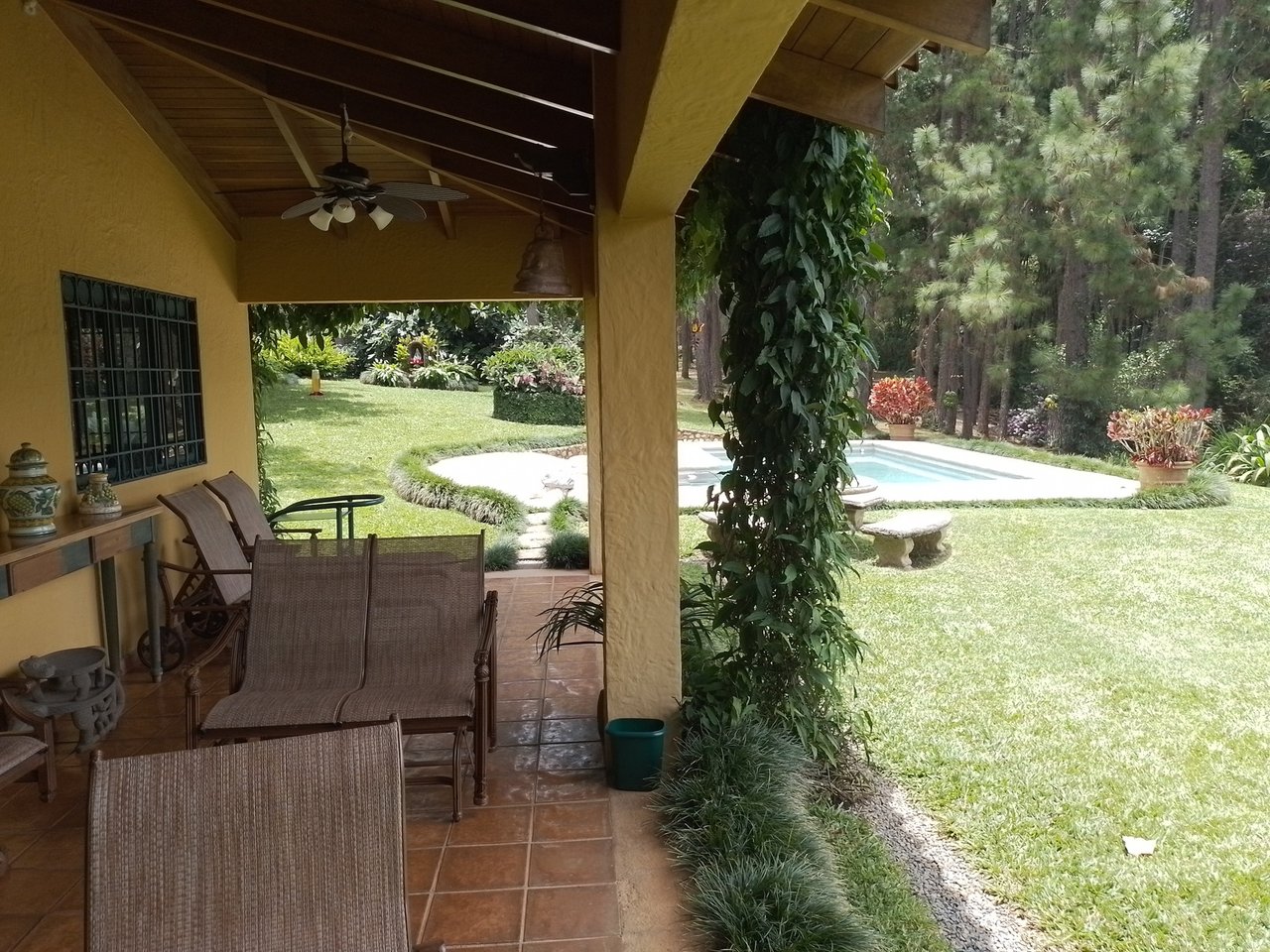 Coffee Farm Hacienda Estate, Perez Zeledon, San Jose