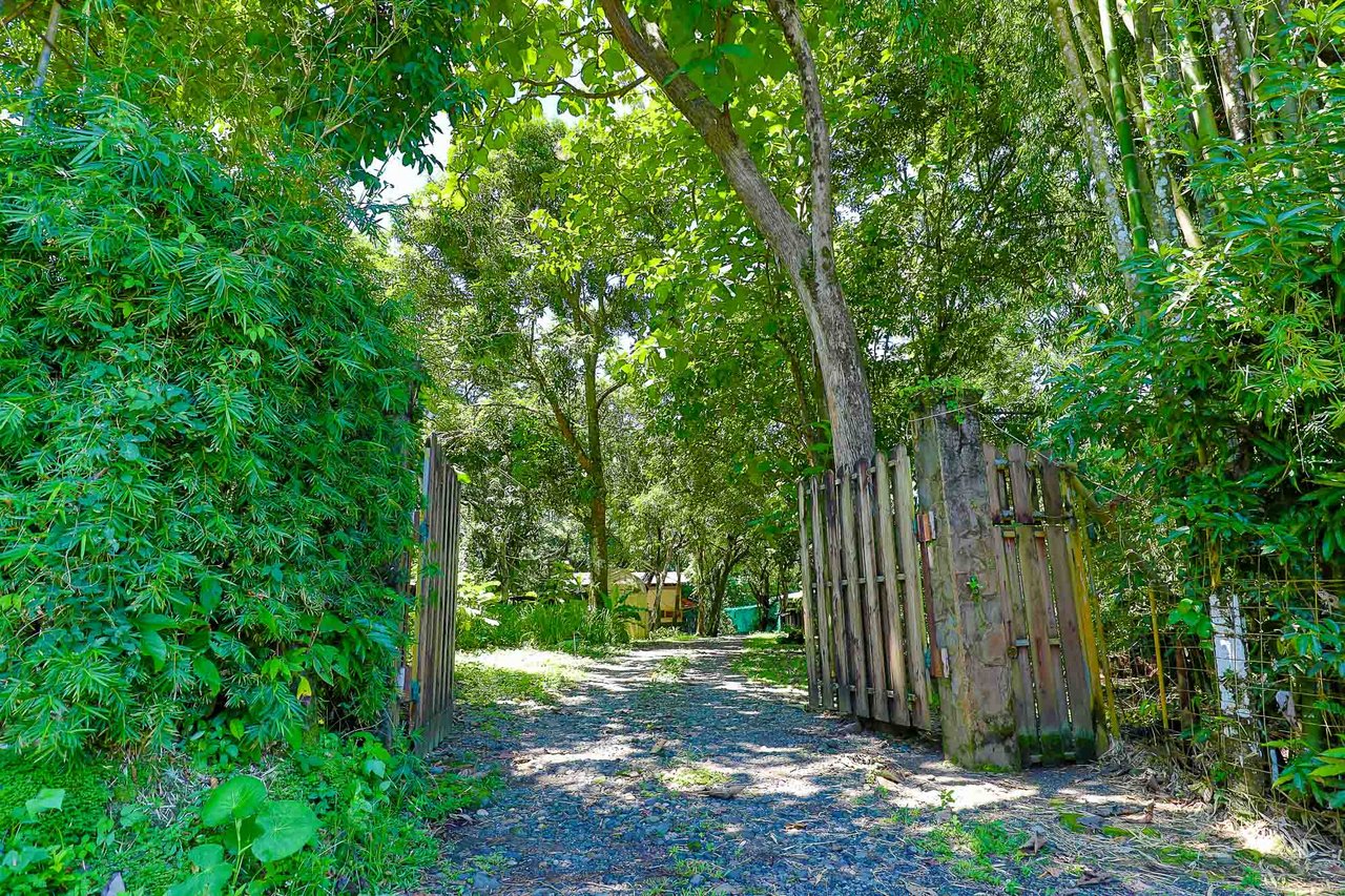 Duplex in Manuel Antonio Area